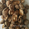 Quality Dried Shiitake Mushrooms